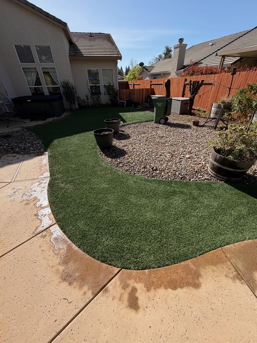 Murphy's Turf — backyard turf with curved patio edge
