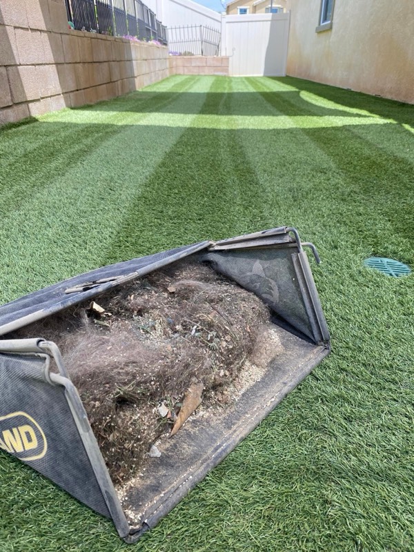 Pet Hair & Debris Removal