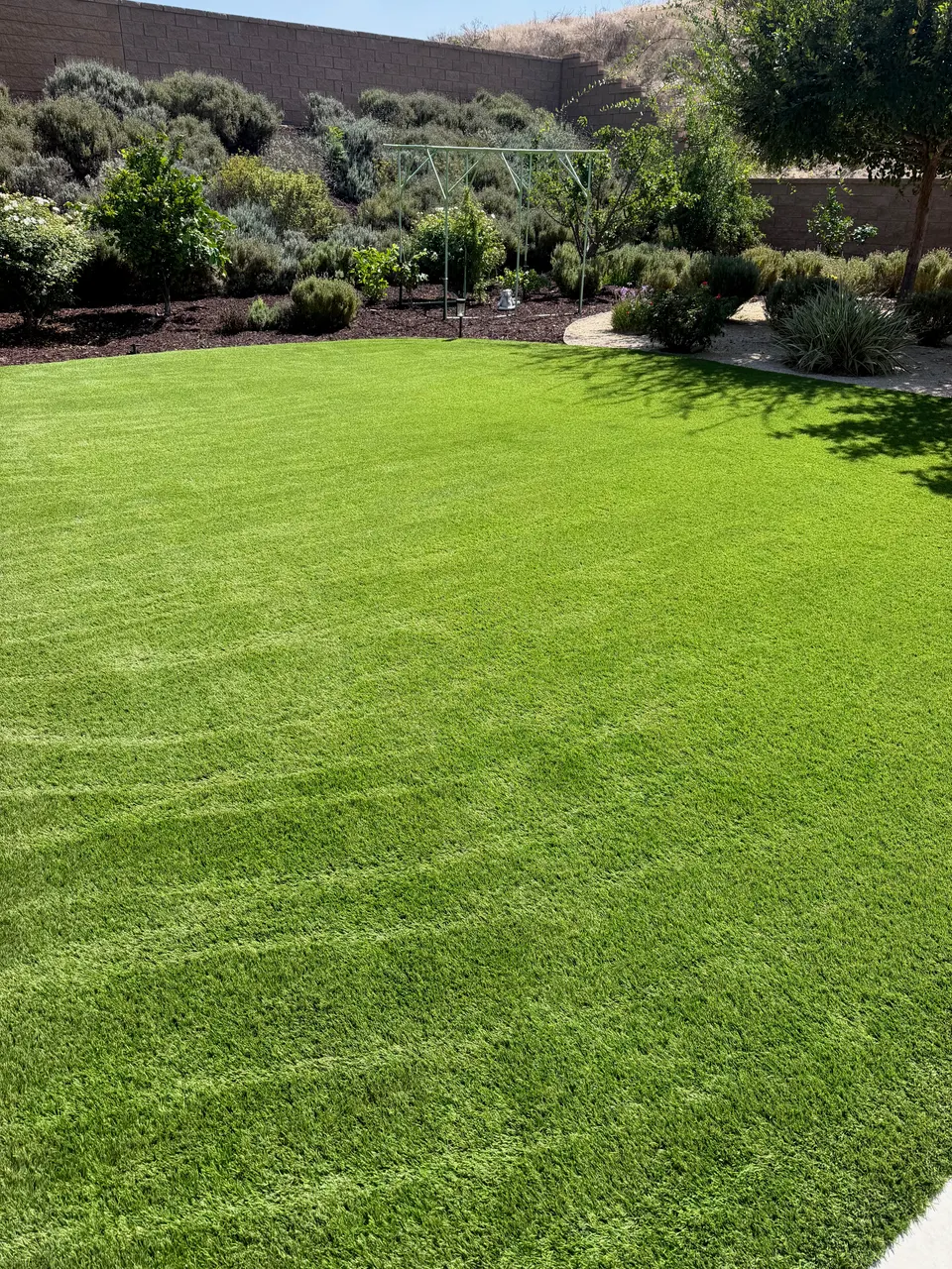 Artificial turf lawn beside a swing set and landscaped hillside in Walnut Creek